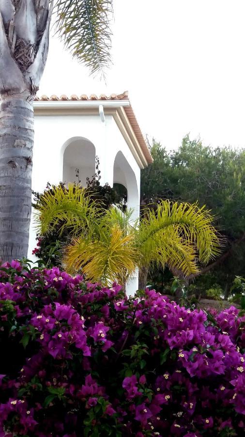 Queen Palm Luz Екстериор снимка