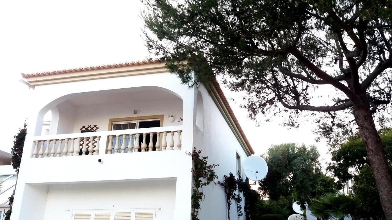 Queen Palm Luz Екстериор снимка